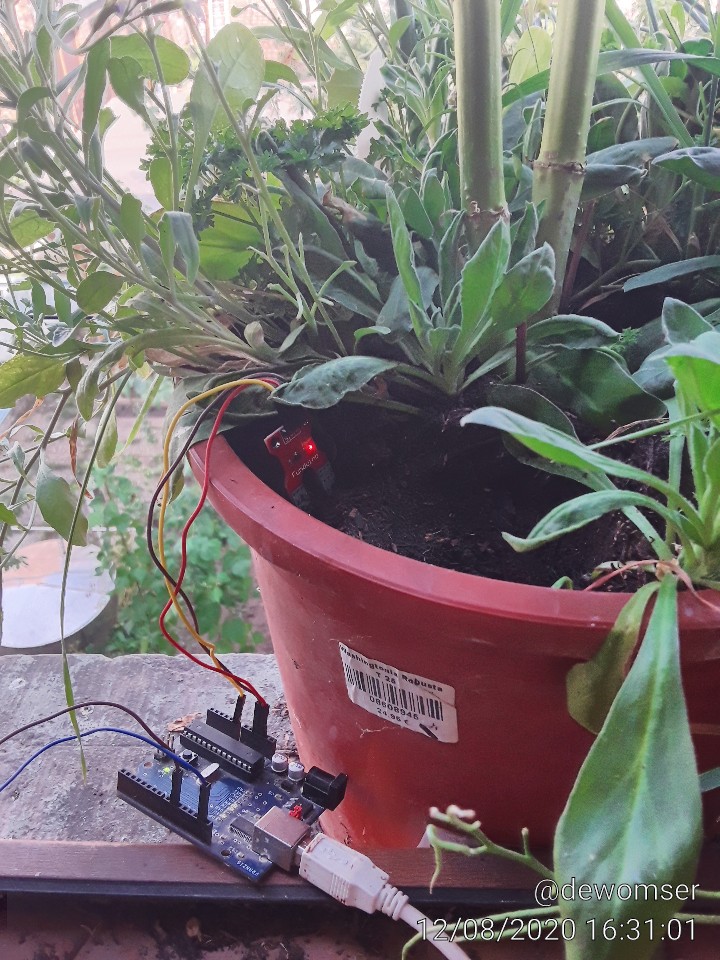 Arduino misst die Feuchte in Blumenerde
