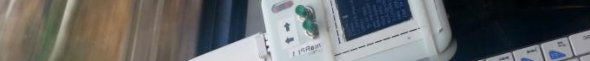 Das Smarpt auf Reisen