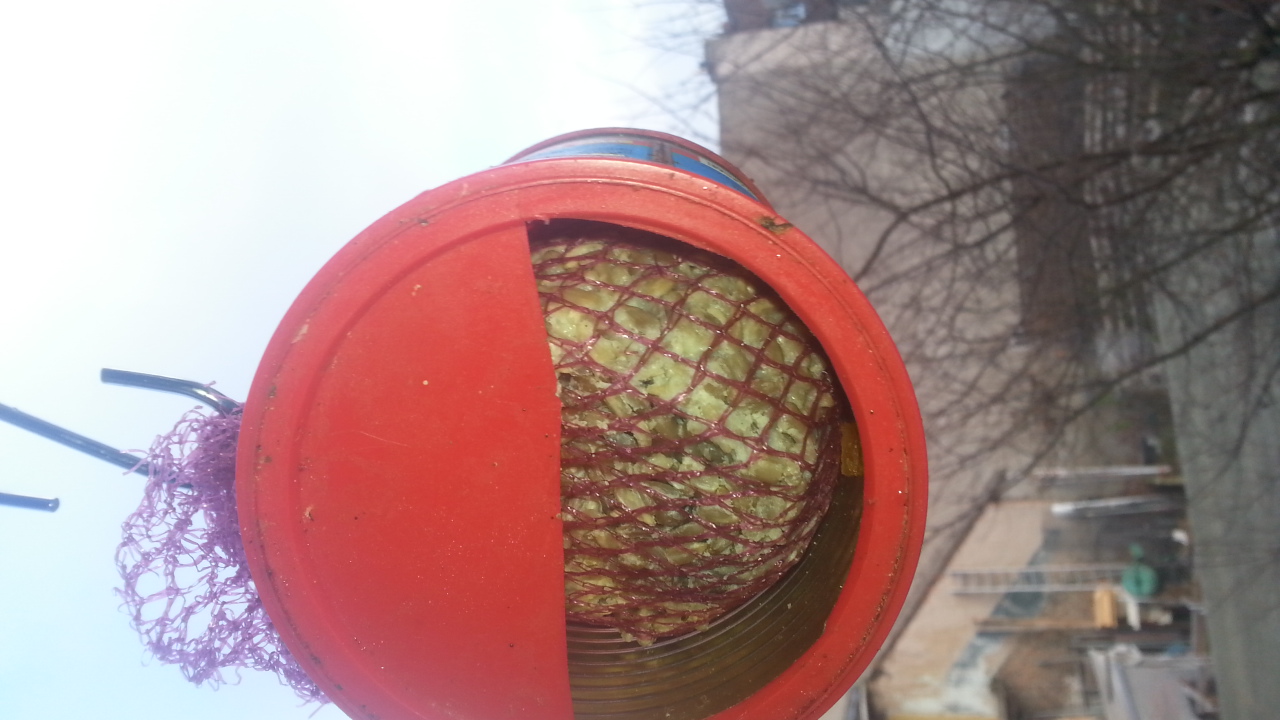 Meisenknödel in Wurstdose als Futterhäuschen 